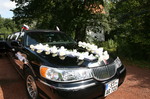 Hochzeitsauto - 7