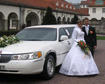 Hochzeitsfahrzeug - 5