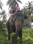 Hochzeitsreise Thailand: Elefantenritt
