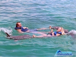 Delfinschwimmen 3