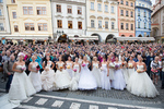 Brautparade Prag Sep. 2013 - 19